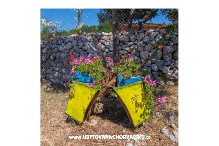 App Bonić – foto 4