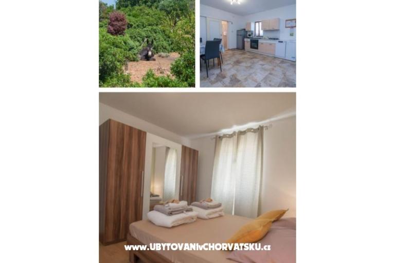 App Bonić – foto 6