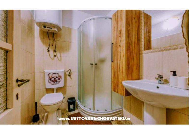 App Bonić – foto 79