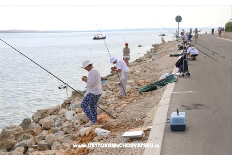 Villa Miličević Ap (6+2) – foto 18