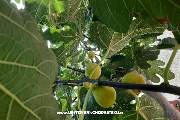 Apartmány Alma – foto 16