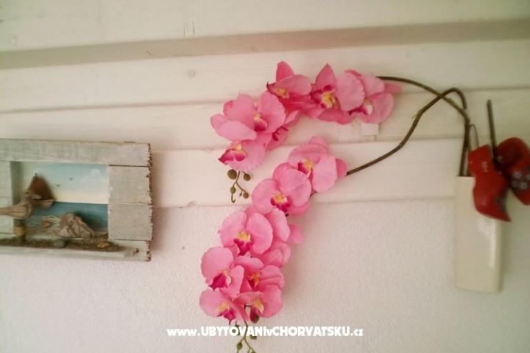 Apartmány Alma – foto 17