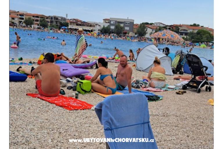 Apartmány Dalija  Vir – foto 17