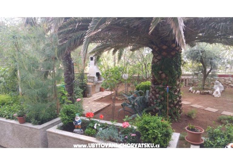 Apartmány Milka Vir – foto 3