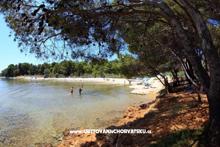 Apartmány Pavić - Sapavac – foto 15