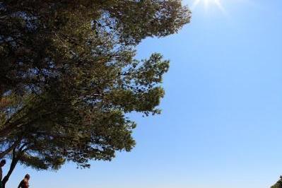 Apartmány Sapavac – foto 13