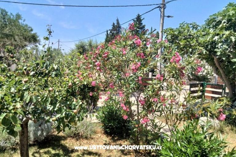 Apartmány Budija / Lavanda – foto 8