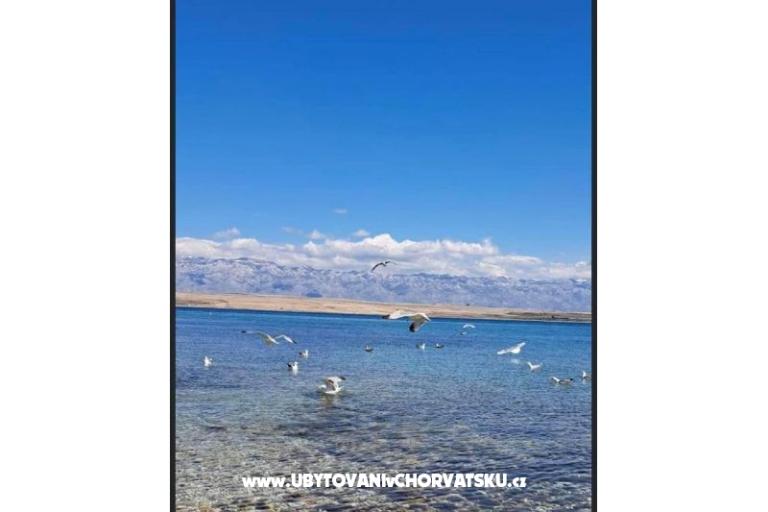 Apartmány Ewa – foto 27