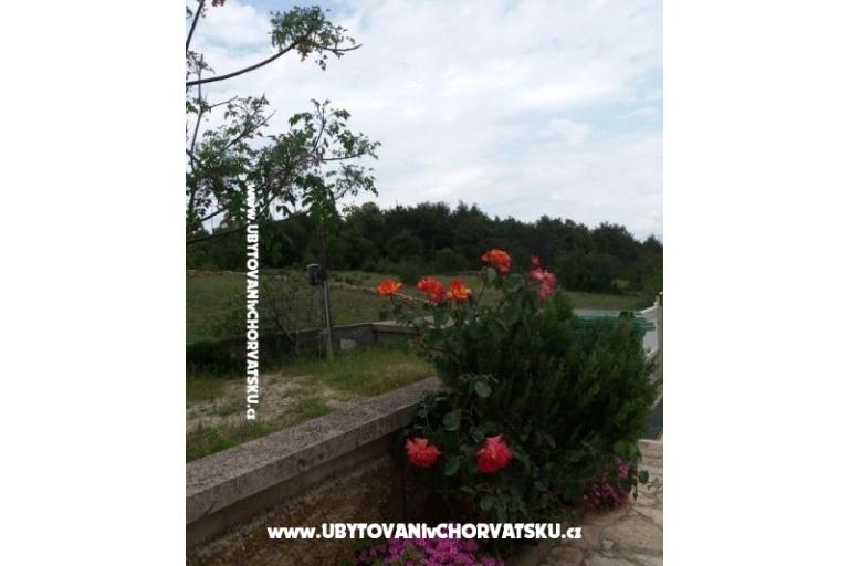 Apartmány Vlašić – foto 5