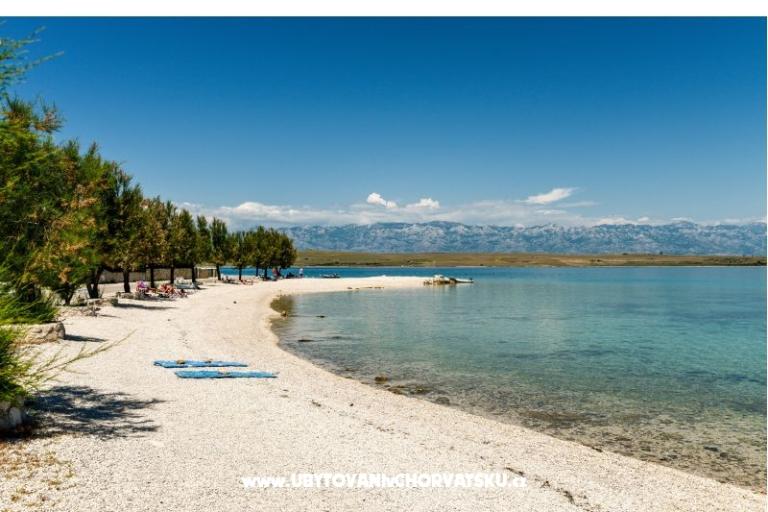 CARPE DIEM – foto 17