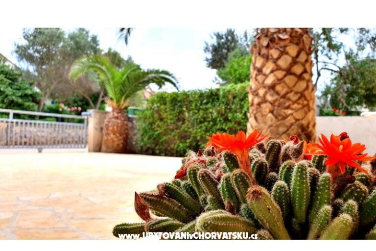 Happy Pineapple Apartmány Vir – foto 6