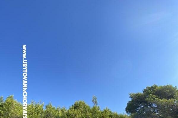 APARTMANI HELENA OASIS VIR – foto 24