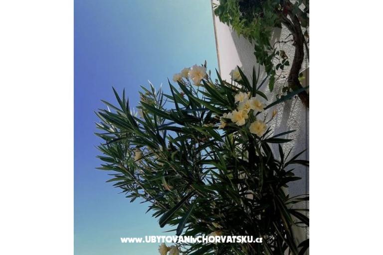 Ivo Nedić Apartmány – foto 12