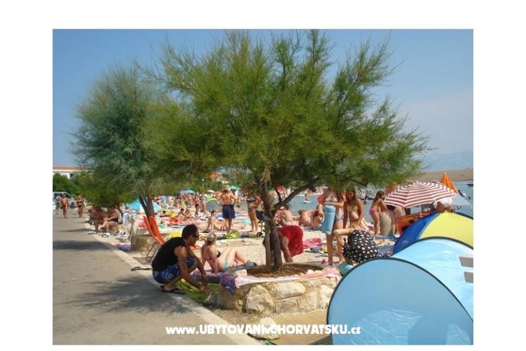 Apartmány-MGM Vir – foto 15