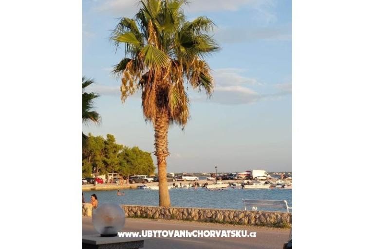 Tonis Apartmány – foto 12