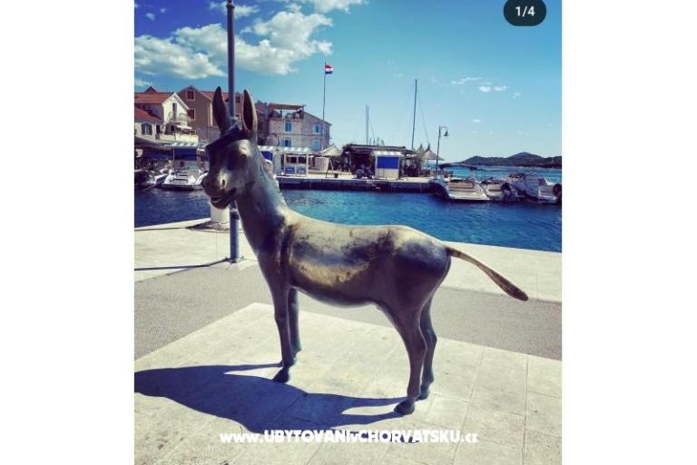 Apartmán Viola – foto 24