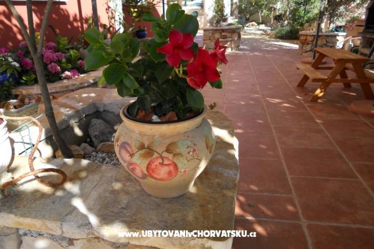 Apartmány Dea&amp;Paula – foto 9