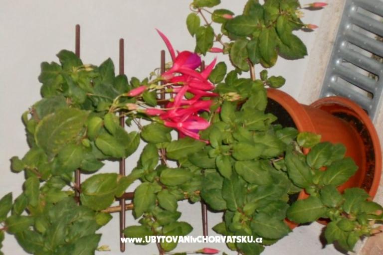 Apartmány Gabriella – foto 12