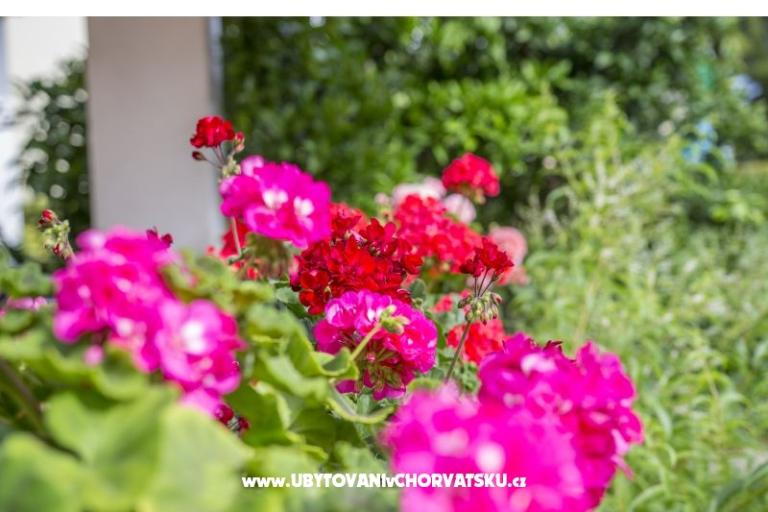 Apartmány Ines – foto 3