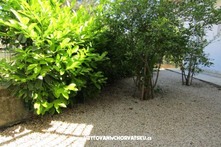 Apartmány Kokor – foto 11