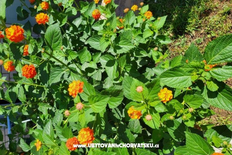 Apartmány Rino – foto 38