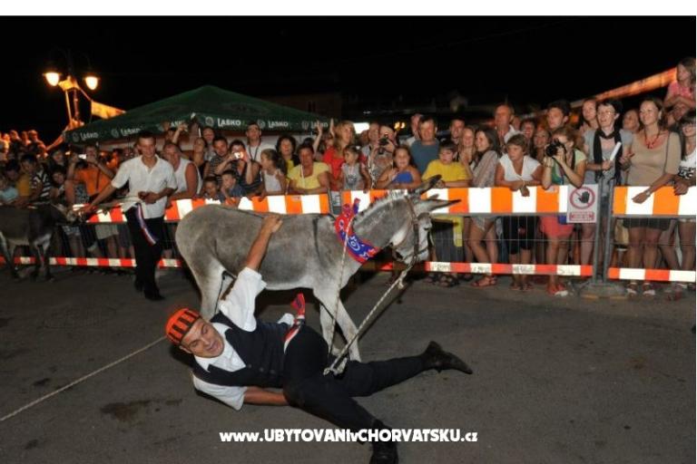 Apartmány Škugor – foto 13