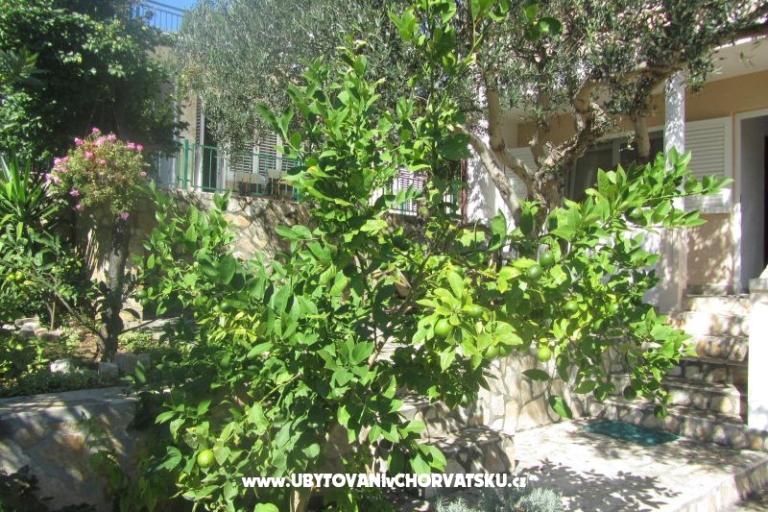 Apartmány Sonja – foto 12