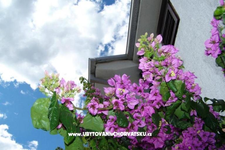 Apartmány Stanko Vodice – foto 2