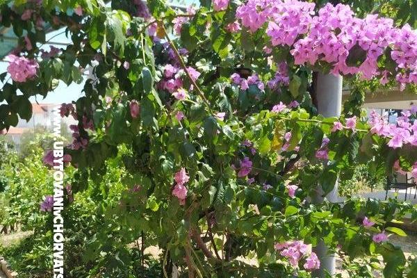 Apartmány Vinka – foto 20