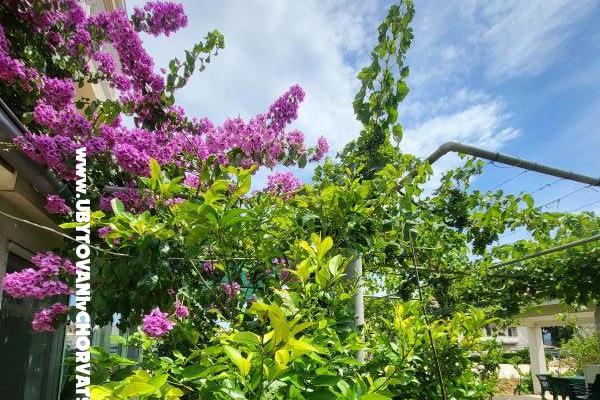 Apartmány Vinka – foto 23