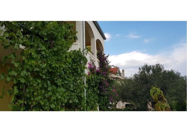 Apartmány Vranjković – foto 5