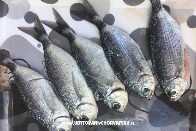 Apartmány Milka – foto 19