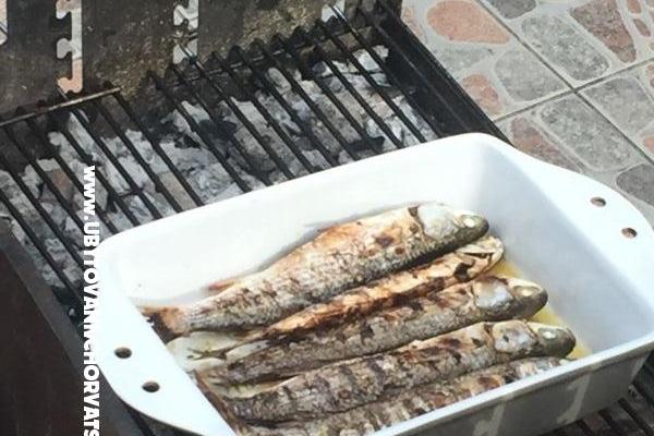 Apartmány Milka – foto 20