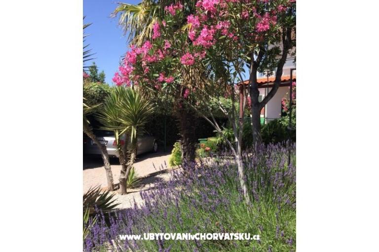 Apartmány Milka – foto 21