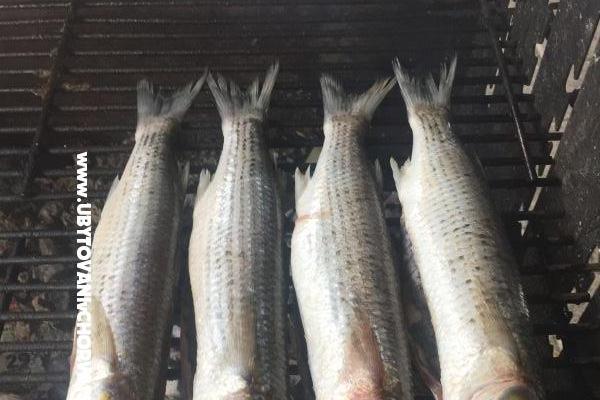 Apartmány Milka – foto 27