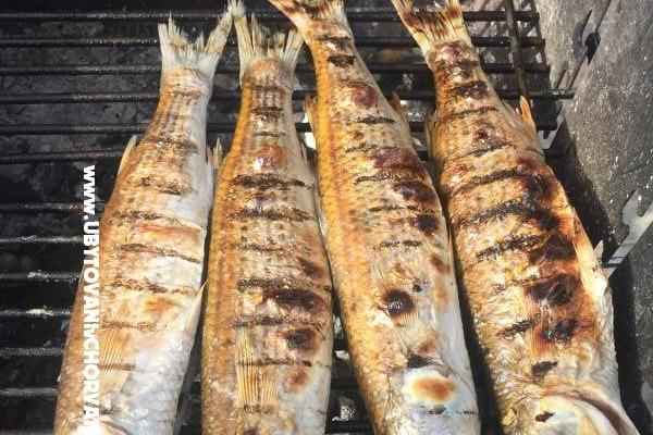 Apartmány Milka – foto 28