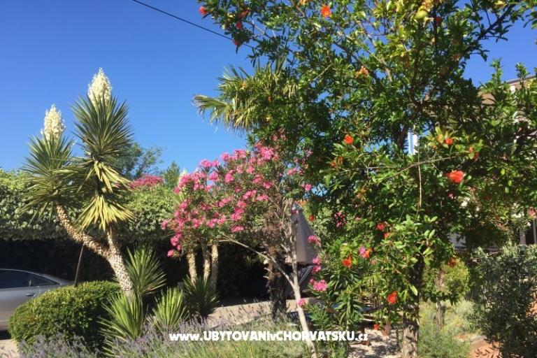 Apartmány Milka – foto 36