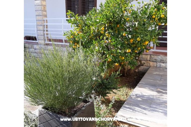 Apartmány Vitali – foto 11