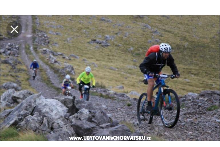 Apartmány Ivica i Ljuba Cukrov  – foto 16