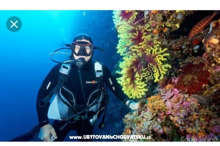 Apartmány Ivica i Ljuba Cukrov  – foto 17