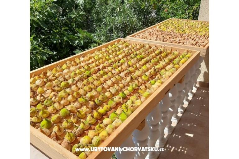 Apartmány Duzelovi dvori  – foto 18