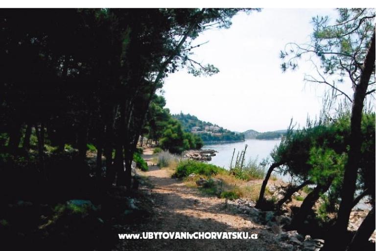 Apartmány Kata – foto 11