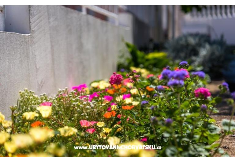 Apartmány Marko – foto 2