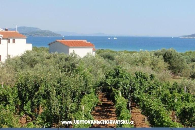 Antonela  – foto 11