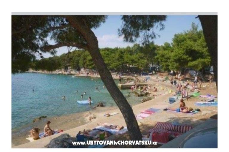 Antonela  – foto 20