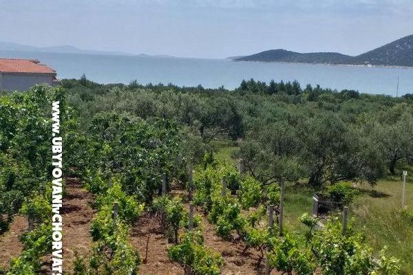 Antonela  – foto 36