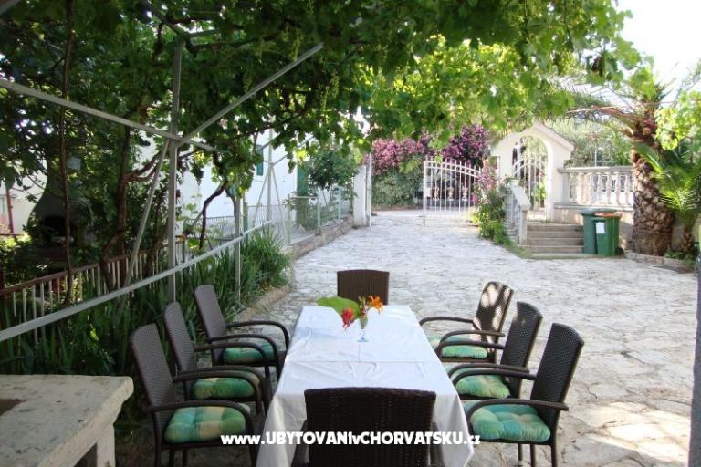 Antonela  – foto 6