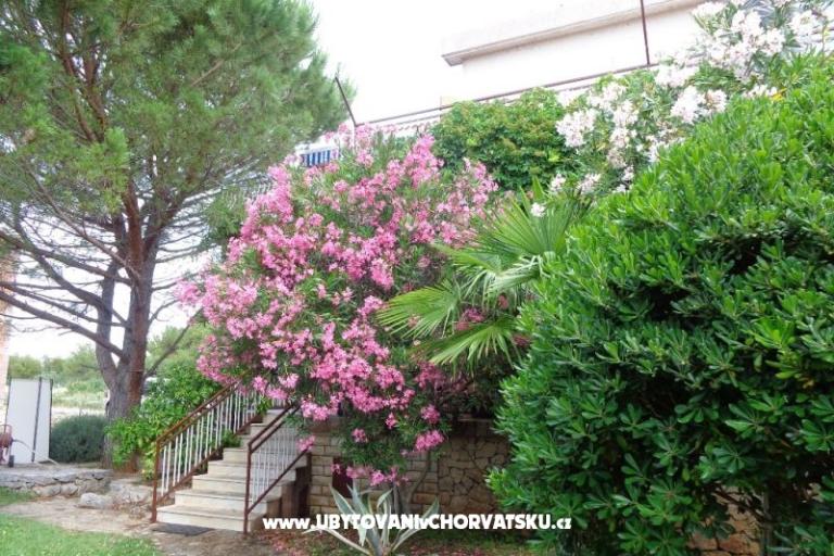 Apartmány  IVAN   – foto 17