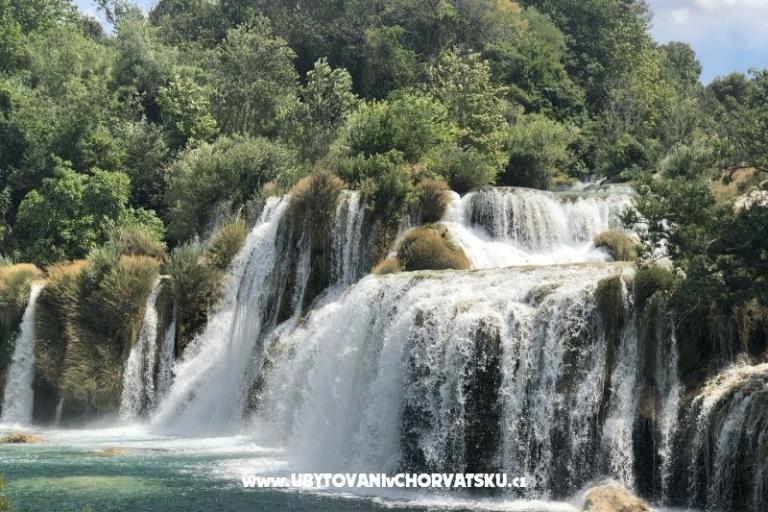 Kiwi Dům – foto 10