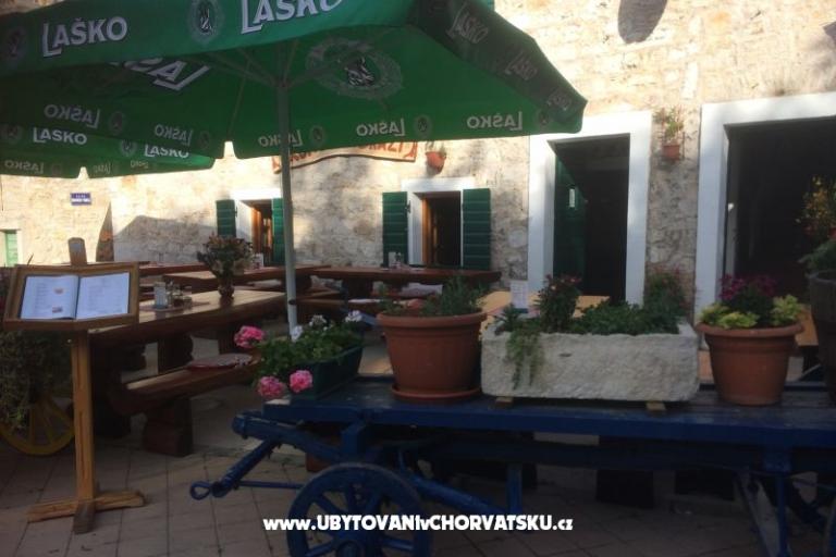 Kiwi Dům – foto 12